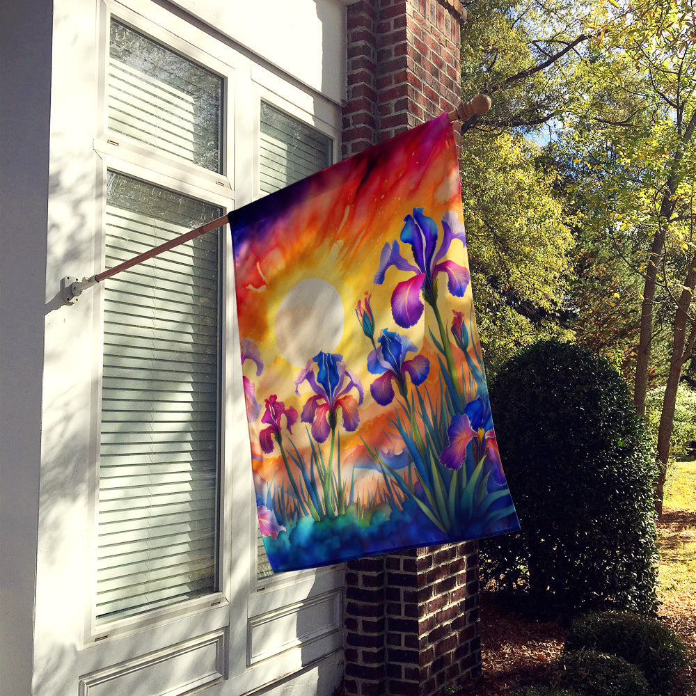 Iris in Color House Flag 28x40 Porch Sleeve Pole Decorative Outside Yard Banner Artwork Wall Hanging, Polyester