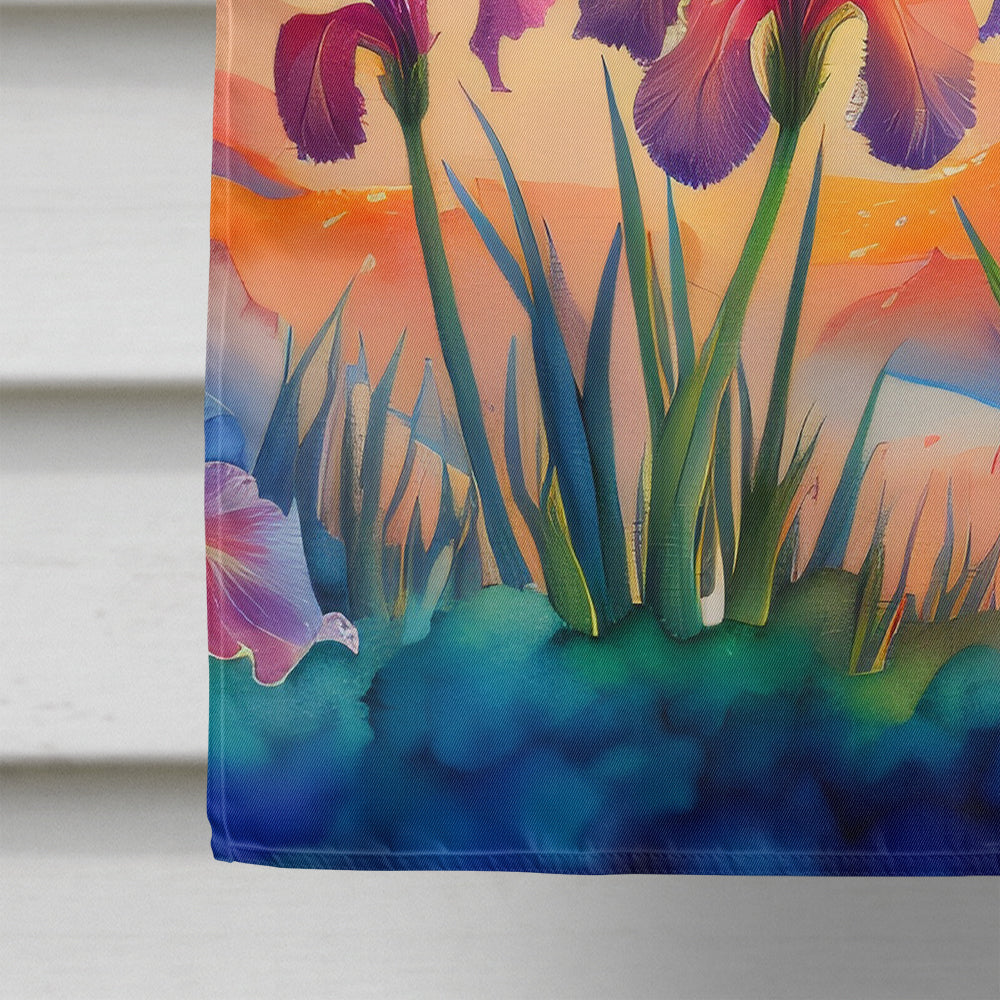 Iris in Color House Flag 28x40 Porch Sleeve Pole Decorative Outside Yard Banner Artwork Wall Hanging, Polyester