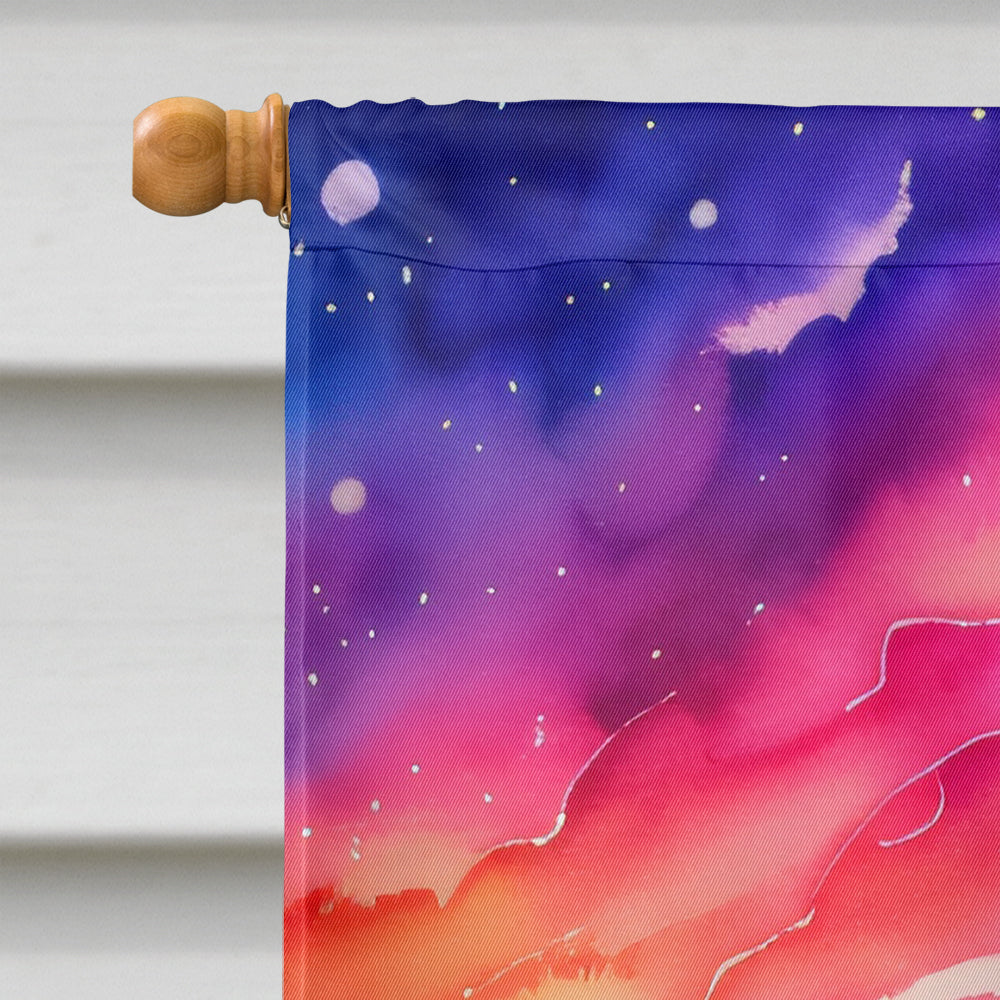 Phlox in Color House Flag 28x40 Porch Sleeve Pole Decorative Outside Yard Banner Artwork Wall Hanging, Polyester