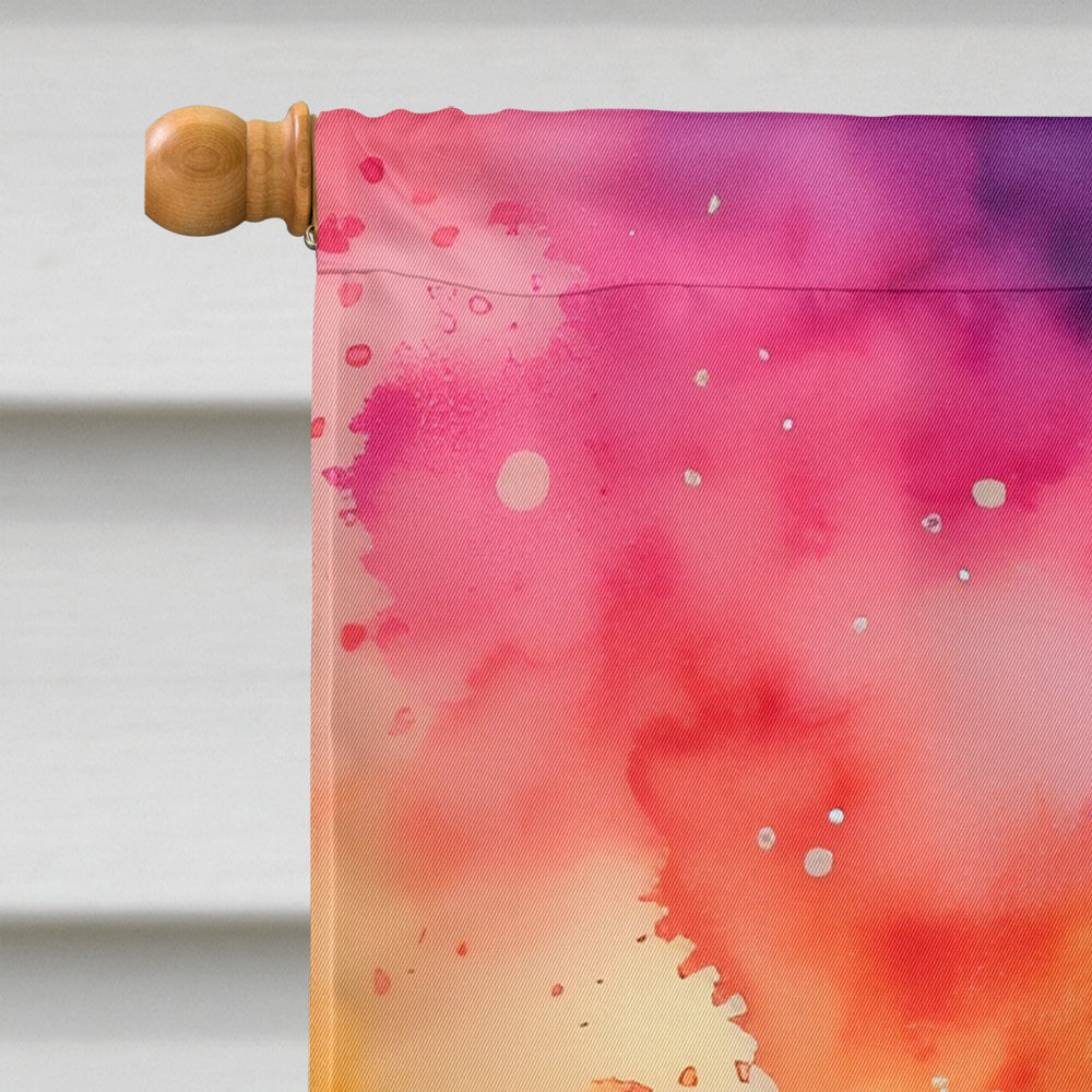 Scabiosa in Color House Flag 28x40 Porch Sleeve Pole Decorative Outside Yard Banner Artwork Wall Hanging, Polyester