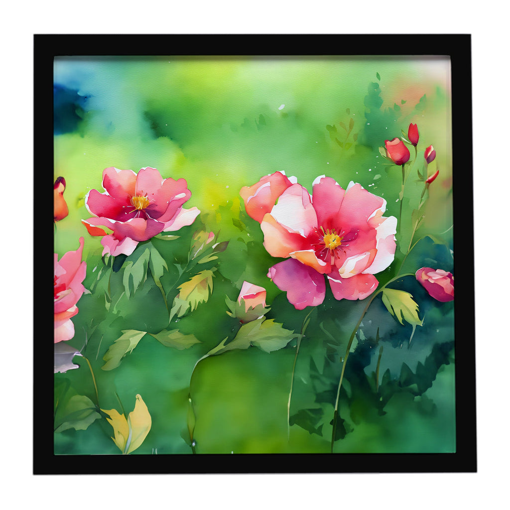 Iowa Wild Prairie Roses in Watercolor Framed Metal Print Bathroom, Kitchen, Office, Home Decor Wall Art Ready to Hang, Square, 8X8