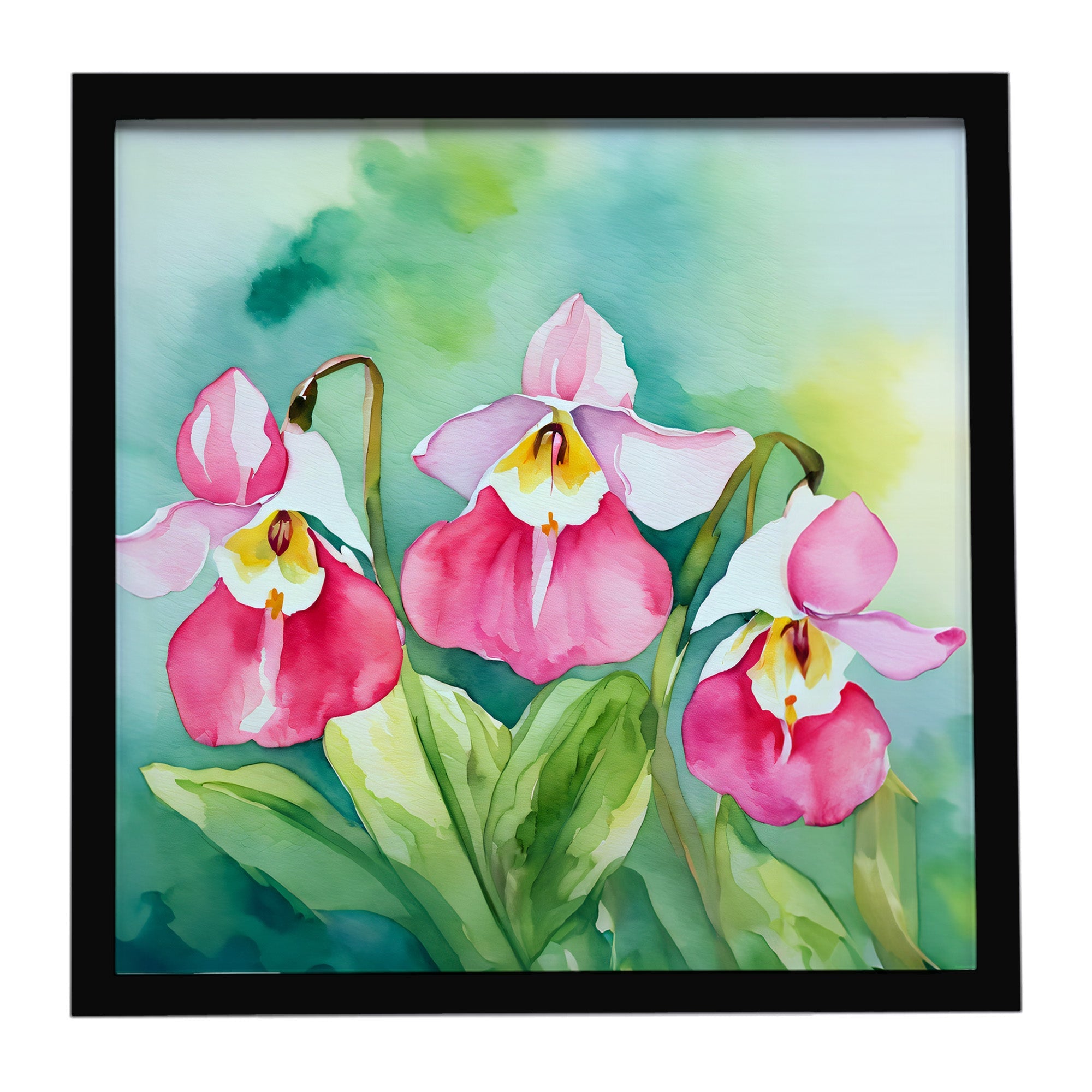 Minnesota Pink and White Lady’s Slippers in Watercolor Framed Metal Print Bathroom, Kitchen, Office, Home Decor Wall Art Ready to Hang, Square, 8X8