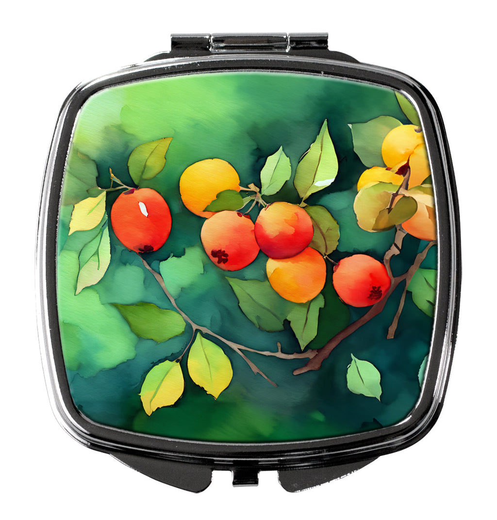 Missouri Hawthorns in Watercolor Compact Mirror Decorative Travel Makeup Mirror for Women Girls Gifts Pocket Makeup Mirror Folding Handheld