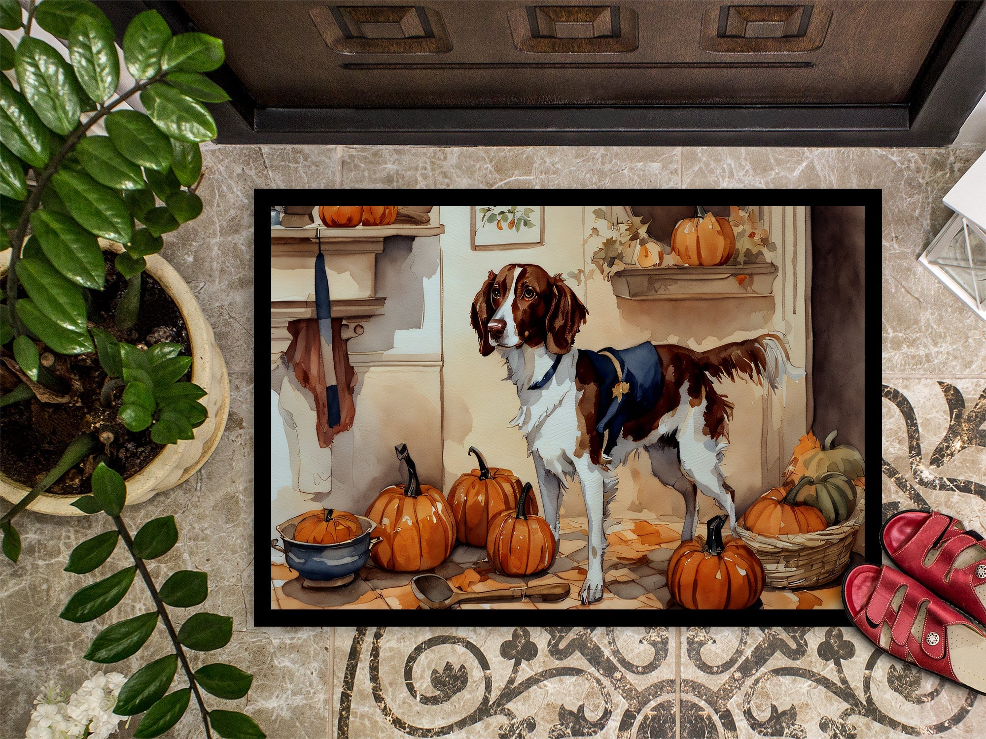 Brittany Fall Kitchen Pumpkins Doormat Indoor Outdoor 18H X 27W Front Door Mat Rugs for Entryway, Non Slip Washable