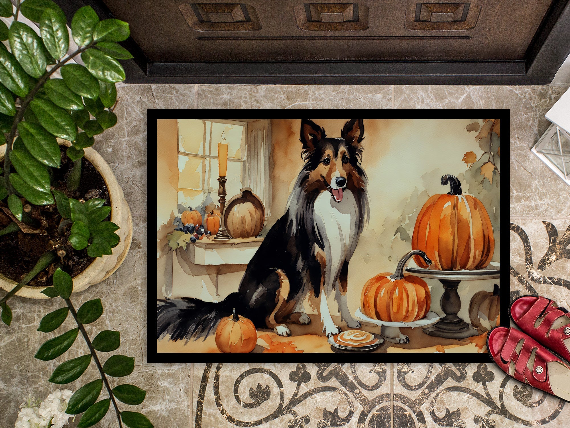 Collie Fall Kitchen Pumpkins Doormat Indoor Outdoor 24H X 36W Front Door Mat Rugs for Entryway, Non Slip Washable Low Pile,
