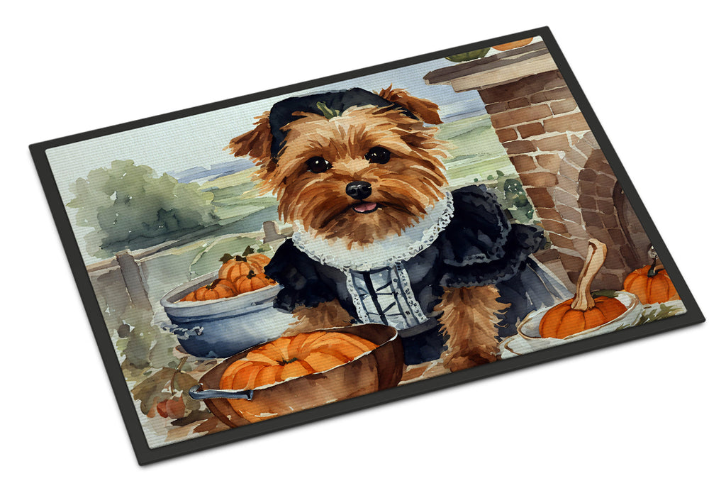 Norfolk Terrier Fall Kitchen Pumpkins Doormat Indoor Outdoor 24H X 36W Front Door Mat Rugs for Entryway, Non Slip Washable Low Pile,