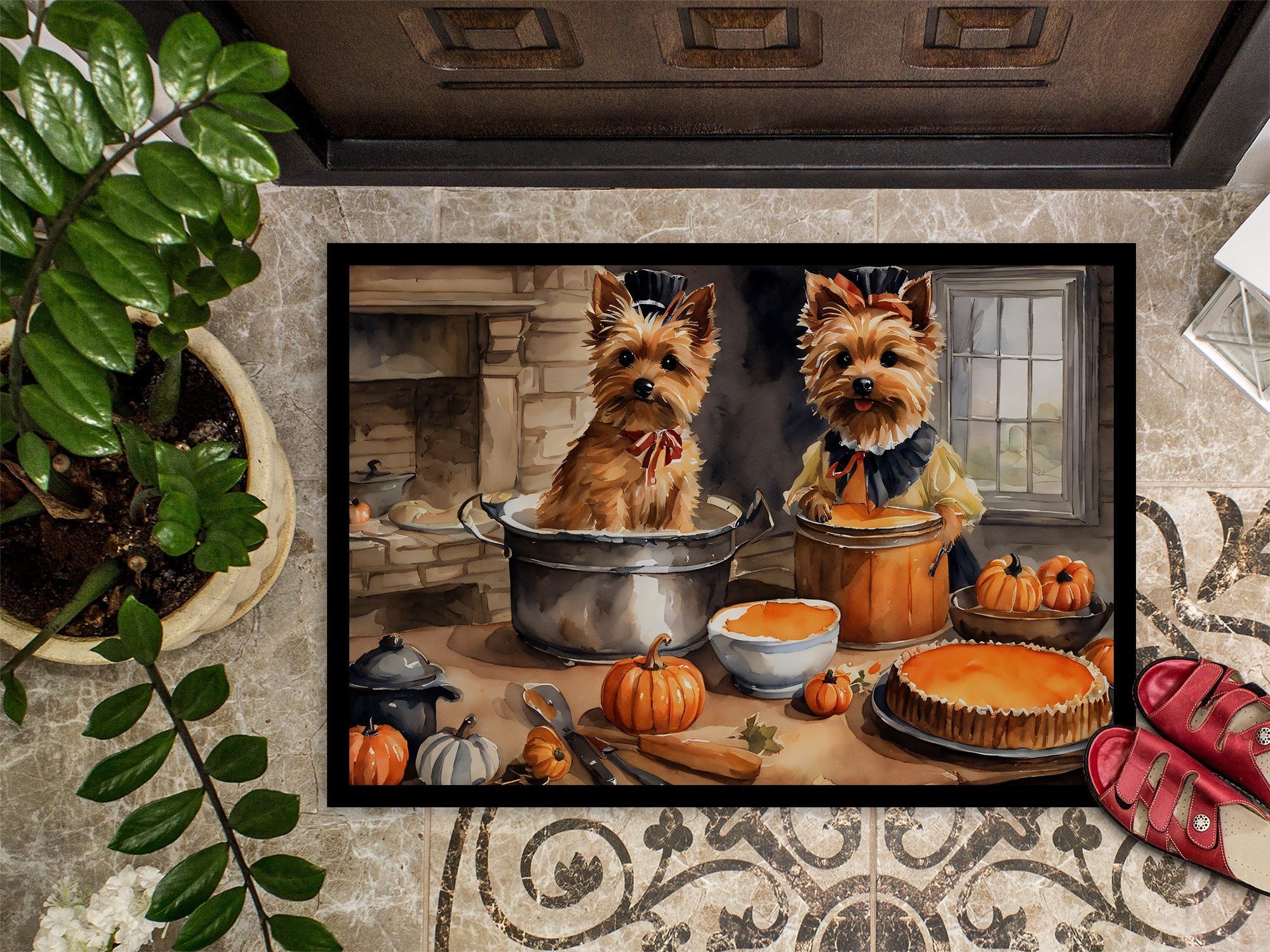 Norwich Terrier Fall Kitchen Pumpkins Doormat Indoor Outdoor 24H X 36W Front Door Mat Rugs for Entryway, Non Slip Washable Low Pile,