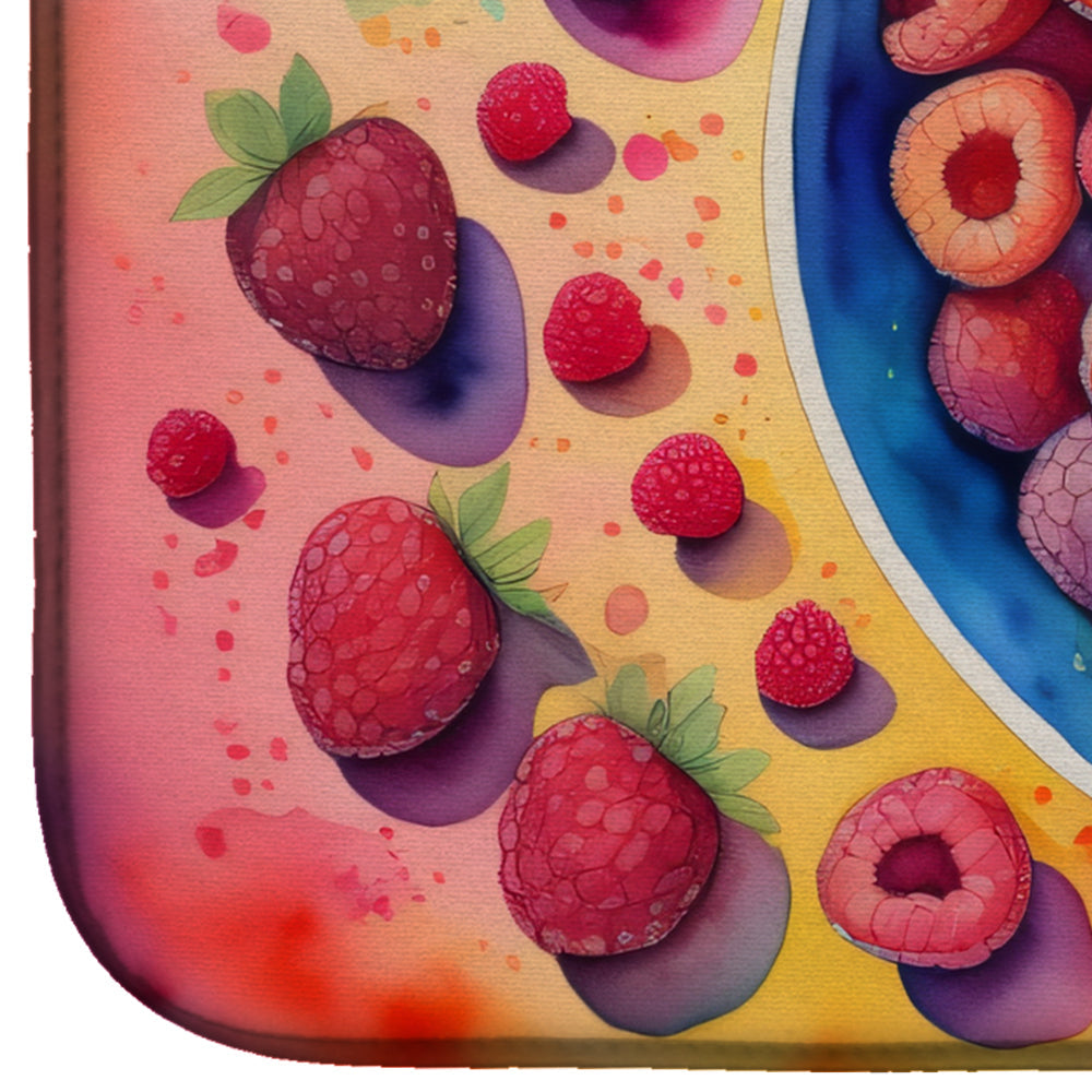 Colorful Raspberries Dish Drying Mat Absorbent Dish Drying Mat Pad for Kitchen Counter Dish Drainer Mat for Countertop, 14 x 21", Multicolor