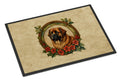 Leonberger Christmas Flowers Doormat Indoor Outdoor 18H X 27W Front Door Mat Rugs for Entryway, Non Slip Washable