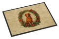 Nova Scotia Duck Tolling Retriever Christmas Flowers Doormat Indoor Outdoor 18H X 27W Front Door Mat Rugs for Entryway, Non Slip Washable