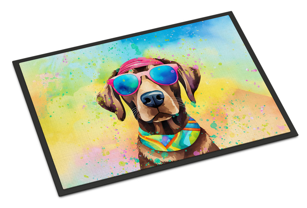 Chocolate Labrador Hippie Dawg Doormat Indoor Outdoor 18H X 27W Front Door Mat Rugs for Entryway, Non Slip Washable