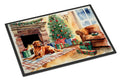 Nova Scotia Duck Tolling Retriever Cozy Christmas Doormat Indoor Outdoor 24H X 36W Front Door Mat Rugs for Entryway, Non Slip Washable Low Pile,