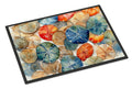 Sand Dollars Doormat Indoor Outdoor 24H X 36W Front Door Mat Rugs for Entryway, Non Slip Washable Low Pile,