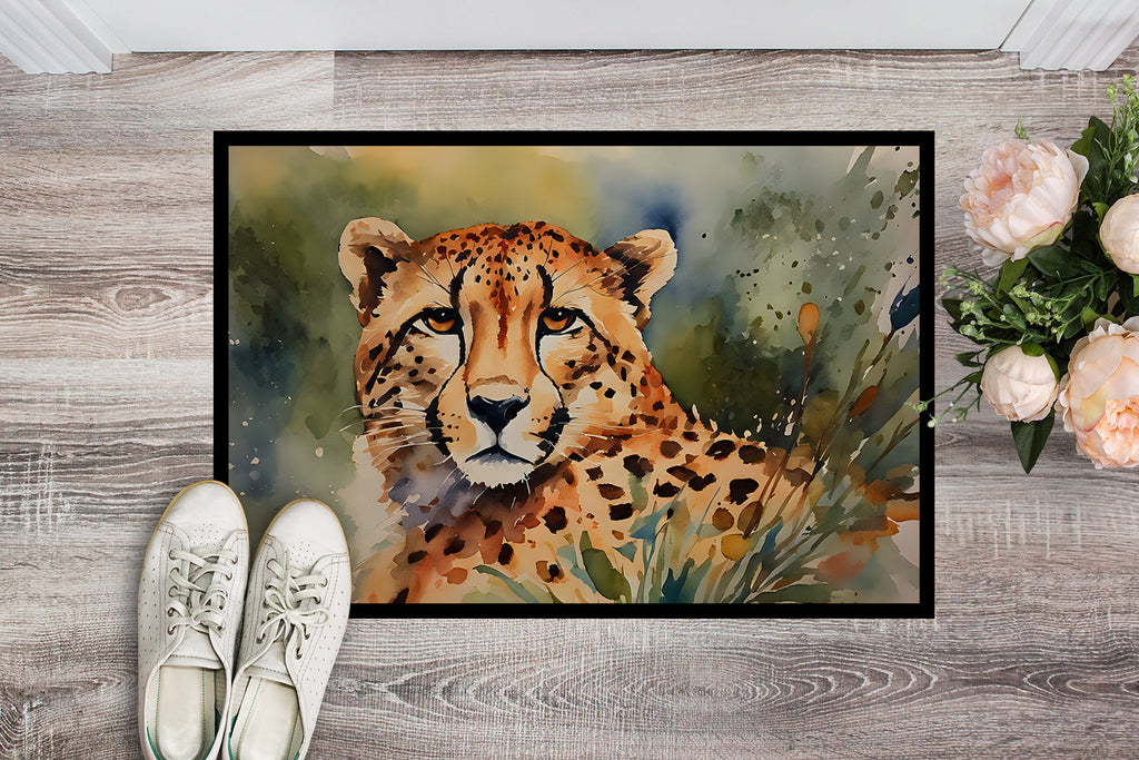 Cheetah Doormat Indoor Outdoor 24H X 36W Front Door Mat Rugs for Entryway, Non Slip Washable Low Pile,