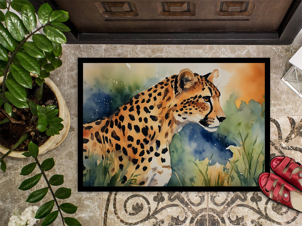 Cheetah Doormat Indoor Outdoor 18H X 27W Front Door Mat Rugs for Entryway, Non Slip Washable