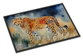 Cheetah Doormat Indoor Outdoor 18H X 27W Front Door Mat Rugs for Entryway, Non Slip Washable
