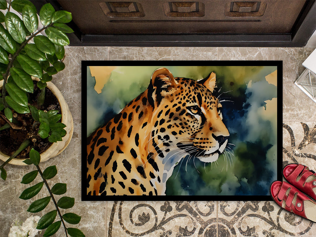 Leopard Doormat Indoor Outdoor 18H X 27W Front Door Mat Rugs for Entryway, Non Slip Washable