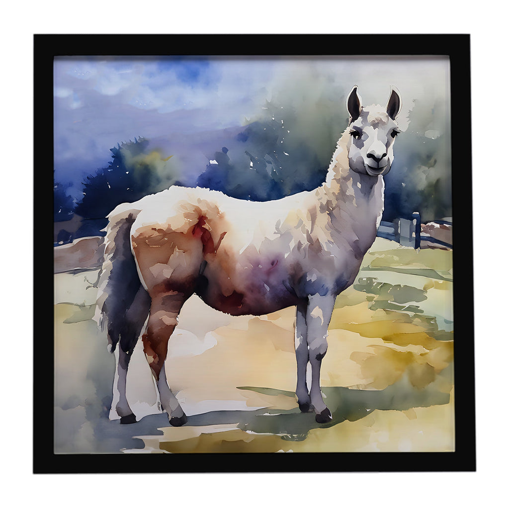 Llama Framed Metal Print Bathroom, Kitchen, Office, Home Decor Wall Art Ready to Hang, Square, 8X8