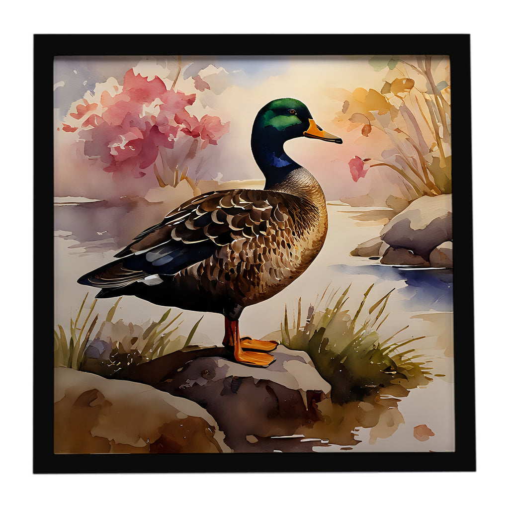 Mallard Duck Standing Lakeside Framed Metal Print Bathroom, Kitchen, Office, Home Decor Wall Art Ready to Hang, Square, 8X8