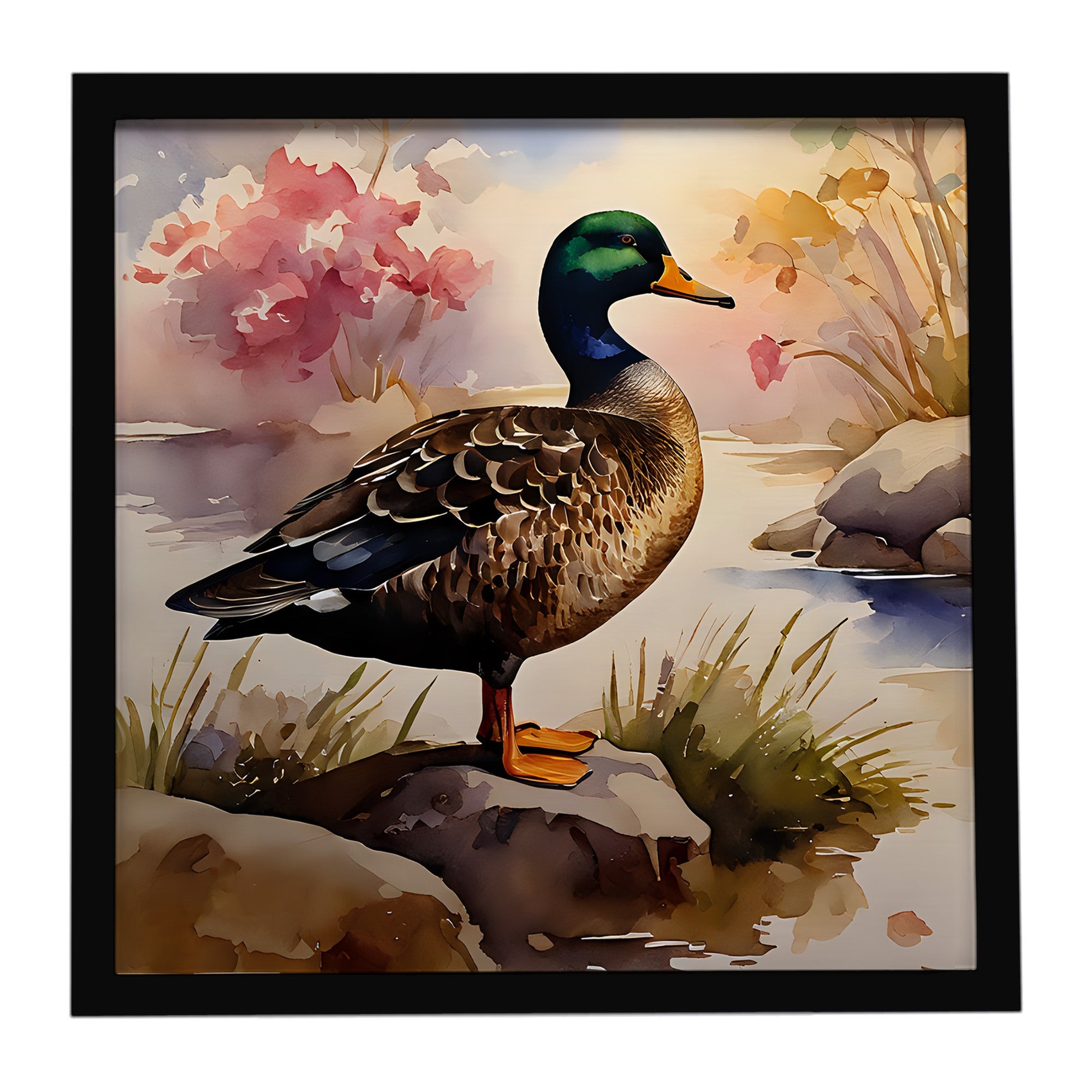 Mallard Duck Standing Lakeside Framed Metal Print Bathroom, Kitchen, Office, Home Decor Wall Art Ready to Hang, Square, 8X8