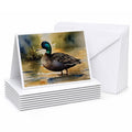 Mallard Duck Shoreline Greeting Cards Pack of 8 Blank Cards with Envelopes Whimsical A7 Size 5x7