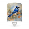 Blue Jay with Blossoms Spring Ceramic Night Light Compact, UL-Certified, Ideal for Bedroom, Bathroom, Nursery, Hallway, Kitchen, 6x4x3, Multicolor