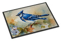 Blue Jay Wildlife Portrait Doormat Indoor Outdoor 24H X 36W Front Door Mat Rugs for Entryway, Non Slip Washable Low Pile,