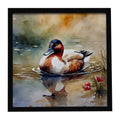 Canvasback Duck Swimming Pond Wildlife Framed Metal Print Bathroom, Kitchen, Office, Home Decor Wall Art Ready to Hang, Square, 8X8