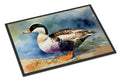 Common Eider Duck Standing Shoreline Doormat Indoor Outdoor 24H X 36W Front Door Mat Rugs for Entryway, Non Slip Washable Low Pile,