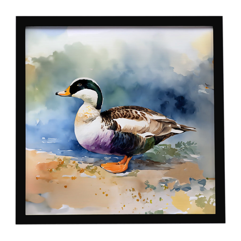 Common Eider Duck Standing Shoreline Framed Metal Print Bathroom, Kitchen, Office, Home Decor Wall Art Ready to Hang, Square, 8X8