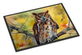 Eastern Screech Owl Wildlife Portrait Doormat Indoor Outdoor 24H X 36W Front Door Mat Rugs for Entryway, Non Slip Washable Low Pile,