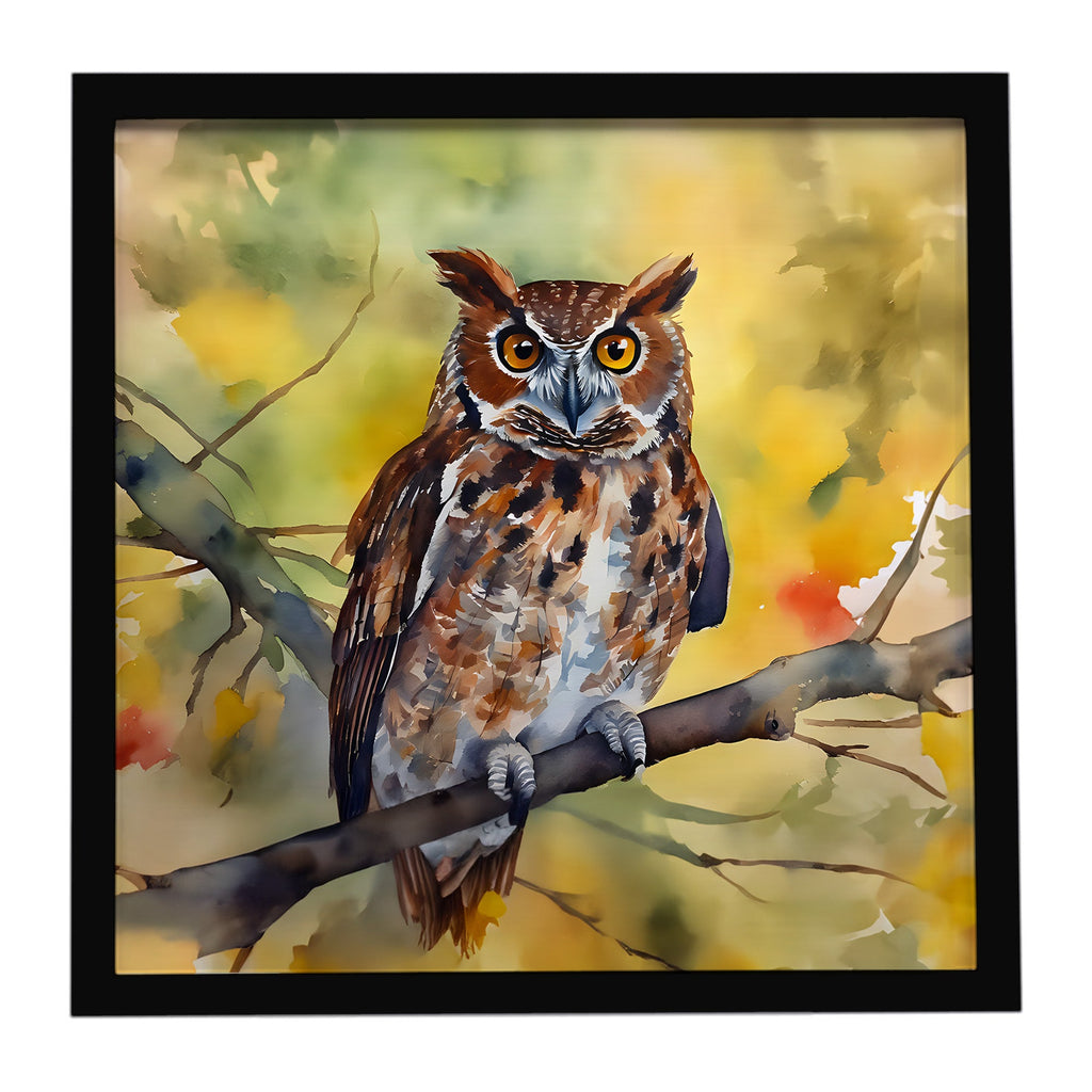 Eastern Screech Owl Wildlife Portrait Framed Metal Print Bathroom, Kitchen, Office, Home Decor Wall Art Ready to Hang, Square, 8X8