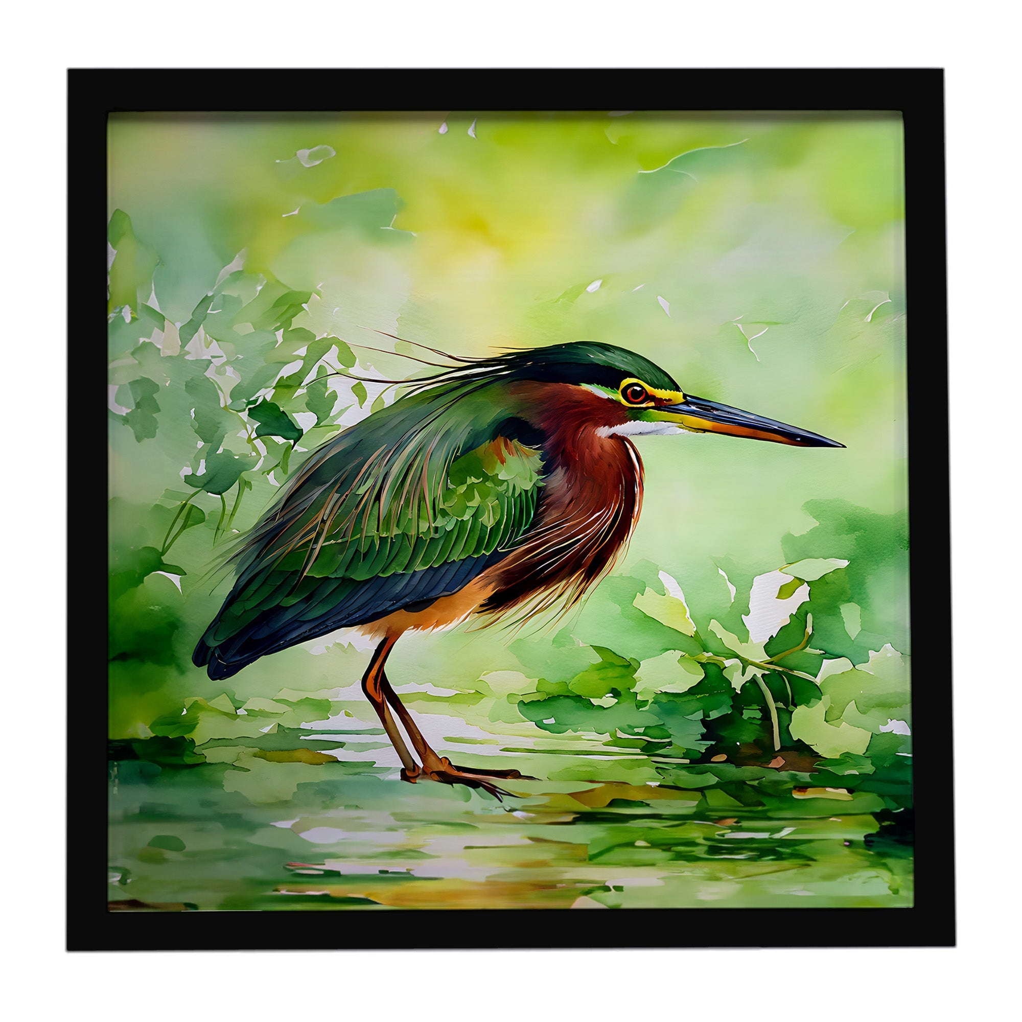 Green Heron Standing Marsh Framed Metal Print Bathroom, Kitchen, Office, Home Decor Wall Art Ready to Hang, Square, 8X8