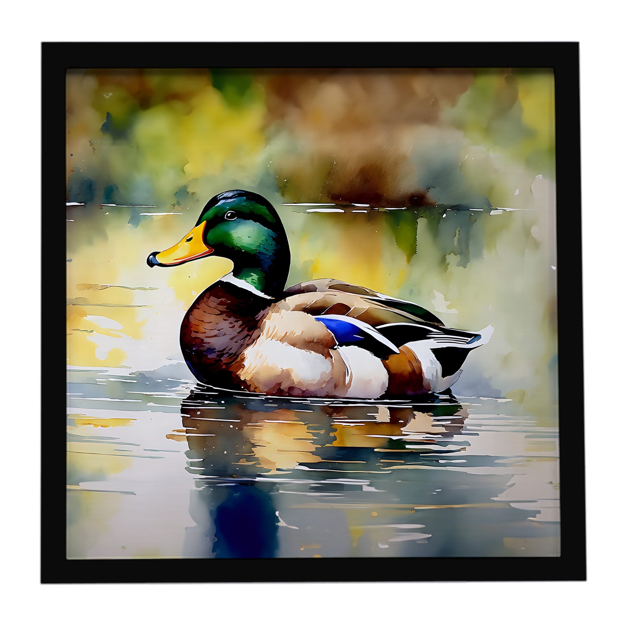 Mallard Duck Floating Pond Reflection Framed Metal Print Bathroom, Kitchen, Office, Home Decor Wall Art Ready to Hang, Square, 8X8