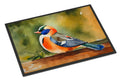 Mandarin Duck Doormat Indoor Outdoor 24H X 36W Front Door Mat Rugs for Entryway, Non Slip Washable Low Pile,