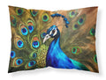 Peacock Face and Feather Detail Standard Pillowcase Lightweight Super Soft Easy Care Decorative Artwork Pillowcase, Standard
