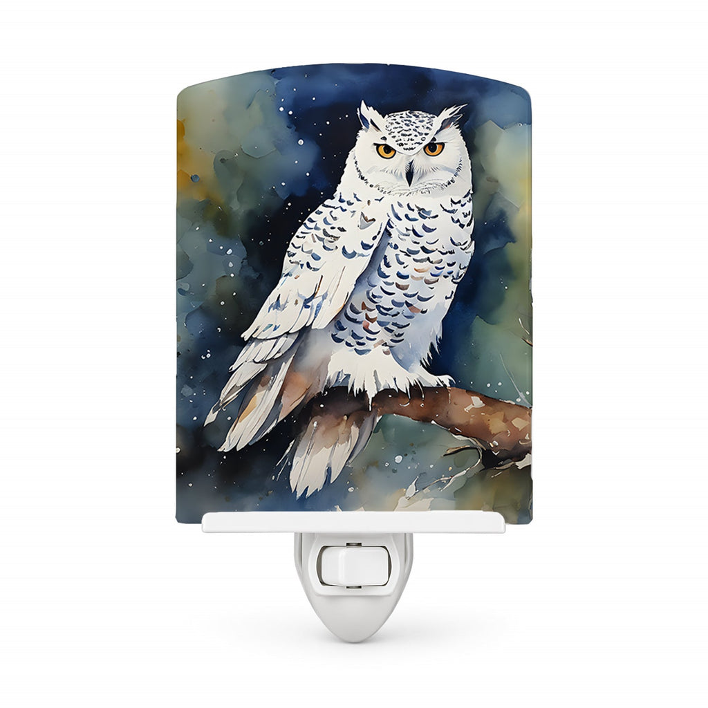 Snowy Owl Night Sky Watercolor Ceramic Night Light Compact, UL-Certified, Ideal for Bedroom, Bathroom, Nursery, Hallway, Kitchen, 6x4x3, Multicolor