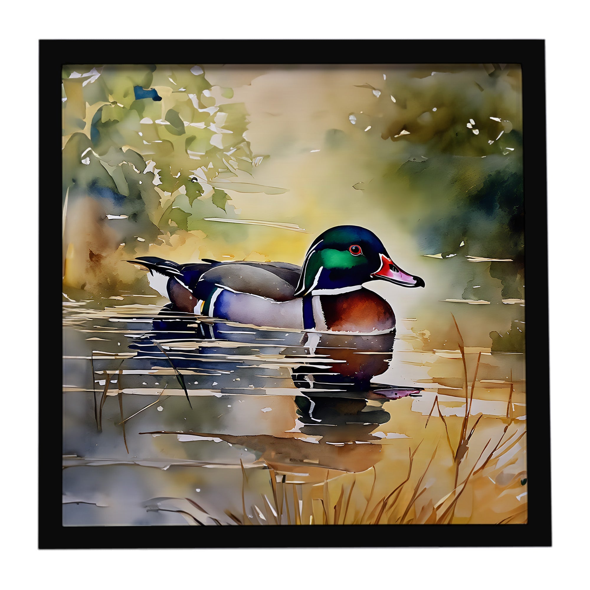 Wood Duck Swimming Pond Watercolor Framed Metal Print Bathroom, Kitchen, Office, Home Decor Wall Art Ready to Hang, Square, 8X8