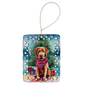 Chesapeake Bay Retriever Christmas Porcelain Ornament Christmas Tree Hanging Decorations for Home Christmas Holiday, Rectangle, Gift, Multicolor