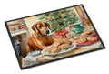 Rhodesian Ridgeback Christmas Cookies Doormat Indoor Outdoor 18H X 27W Front Door Mat Rugs for Entryway, Non Slip Washable
