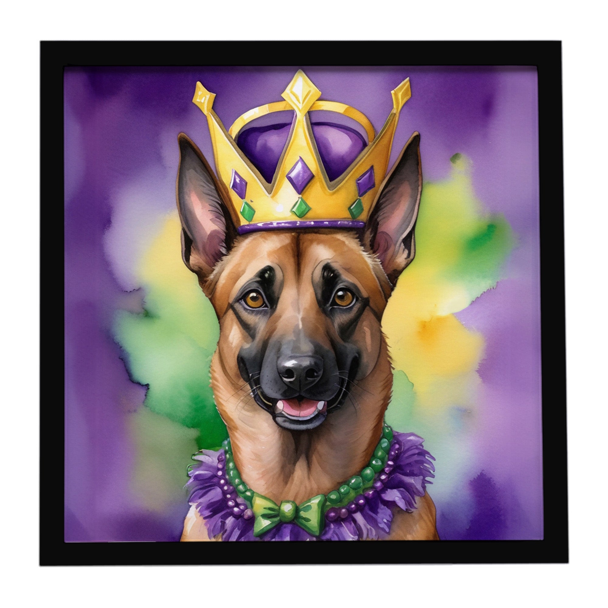 Belgian Malinois King of Mardi Gras Framed Metal Print Bathroom, Kitchen, Office, Home Decor Wall Art Ready to Hang, Square, 8X8