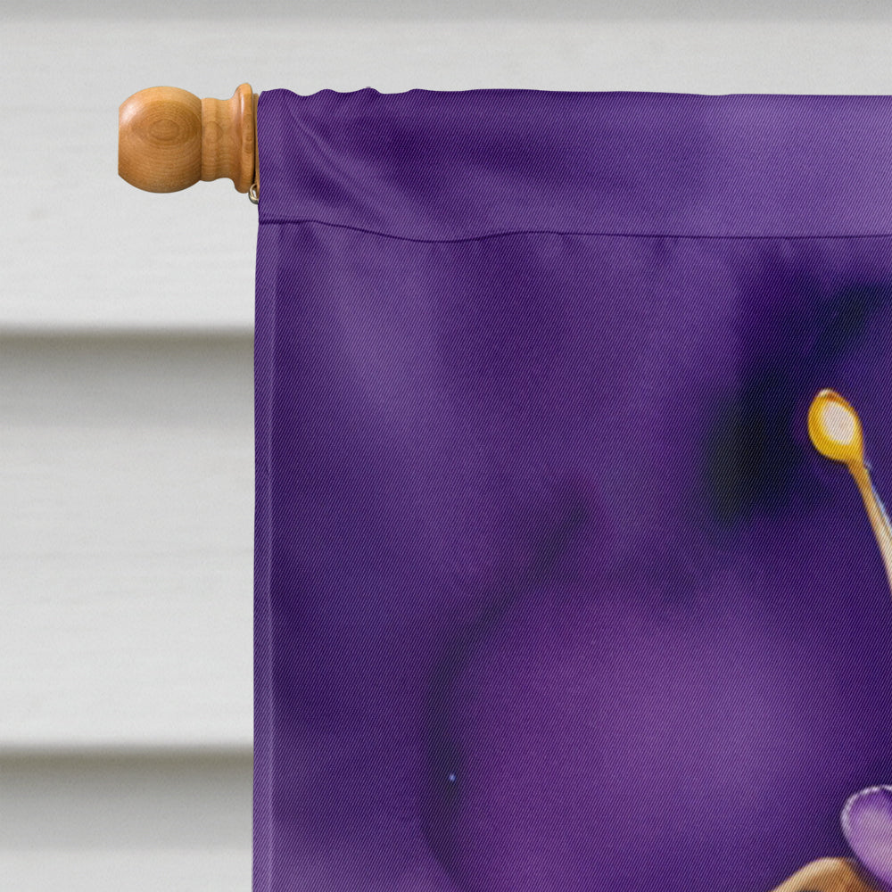 Boxer King of Mardi Gras House Flag 28x40 Porch Sleeve Pole Decorative Outside Yard Banner Artwork Wall Hanging, Polyester