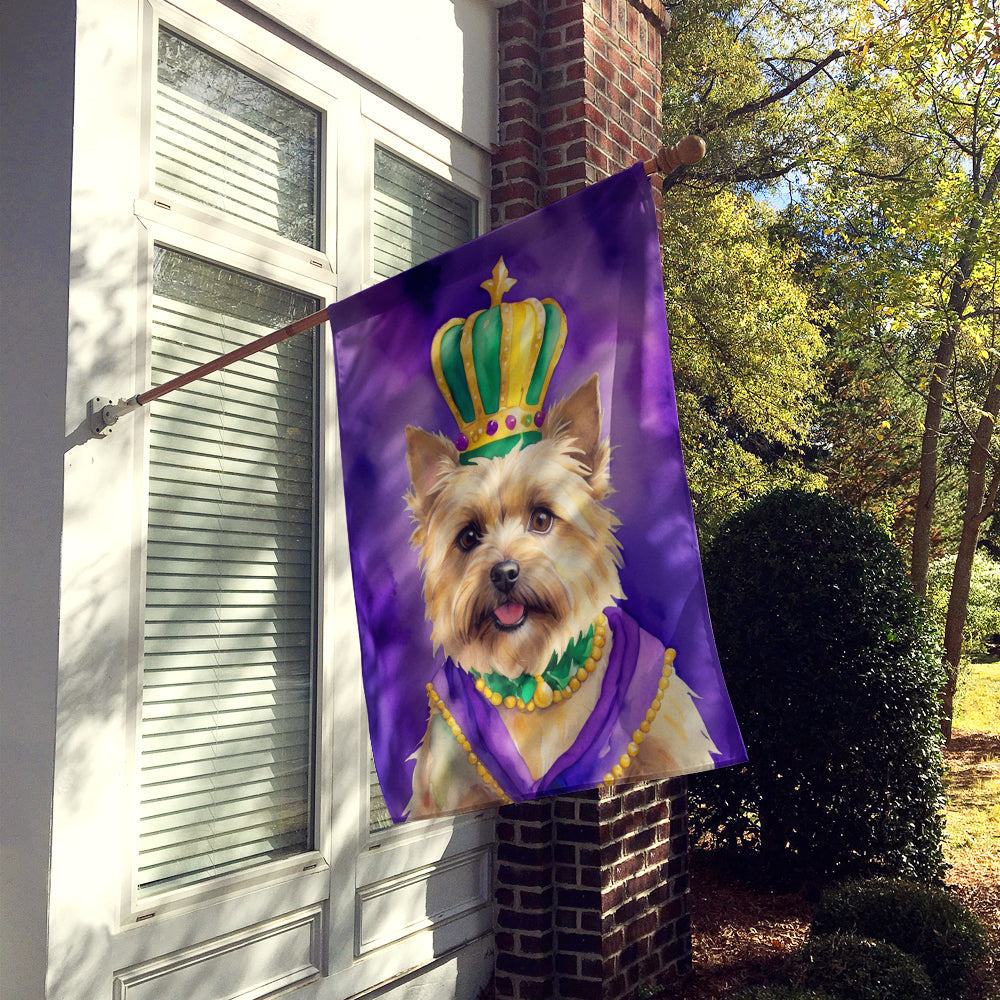 Cairn Terrier King of Mardi Gras House Flag 28x40 Porch Sleeve Pole Decorative Outside Yard Banner Artwork Wall Hanging, Polyester
