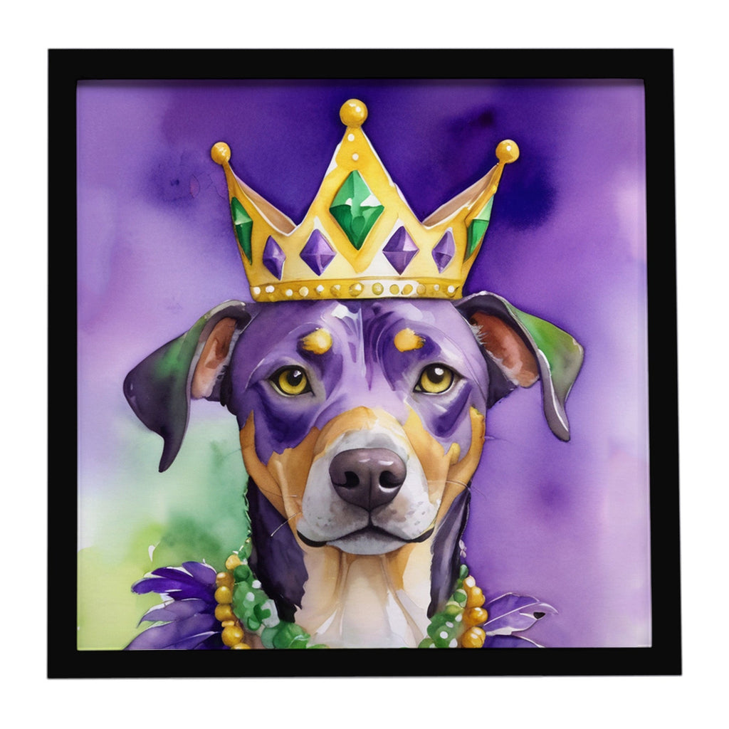 Catahoula King of Mardi Gras Framed Metal Print Bathroom, Kitchen, Office, Home Decor Wall Art Ready to Hang, Square, 8X8
