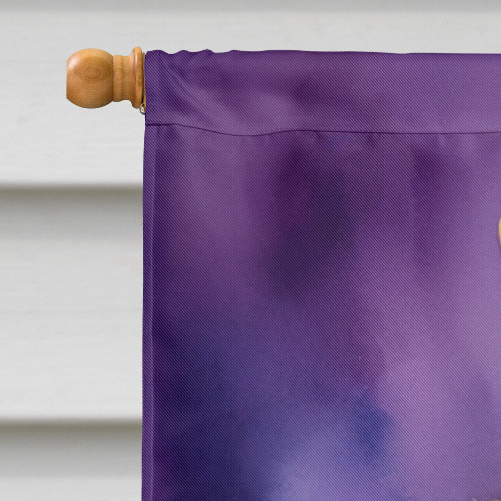 German Wirehaired Pointer King of Mardi Gras House Flag 28x40 Porch Sleeve Pole Decorative Outside Yard Banner Artwork Wall Hanging, Polyester