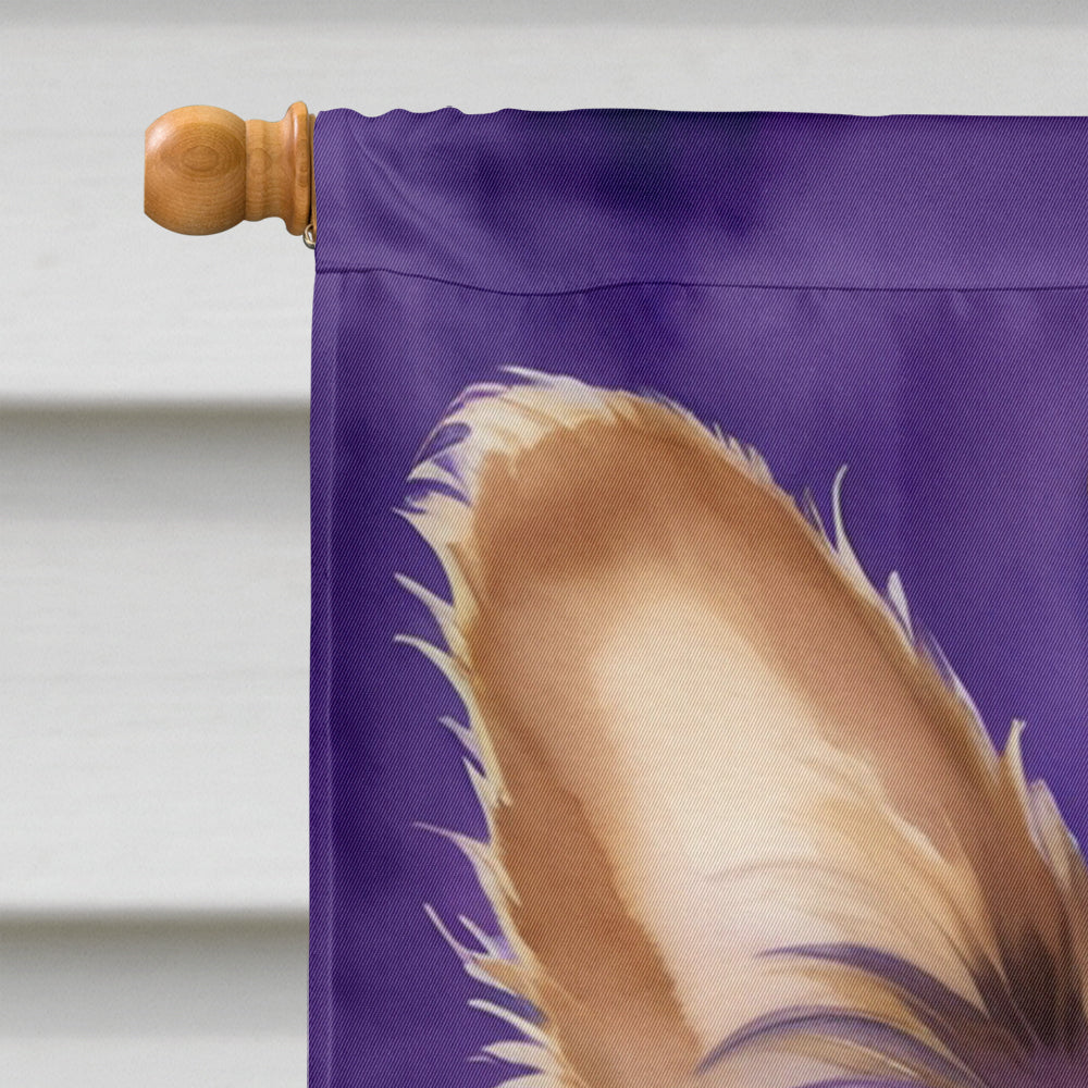 Papillon King of Mardi Gras House Flag 28x40 Porch Sleeve Pole Decorative Outside Yard Banner Artwork Wall Hanging, Polyester