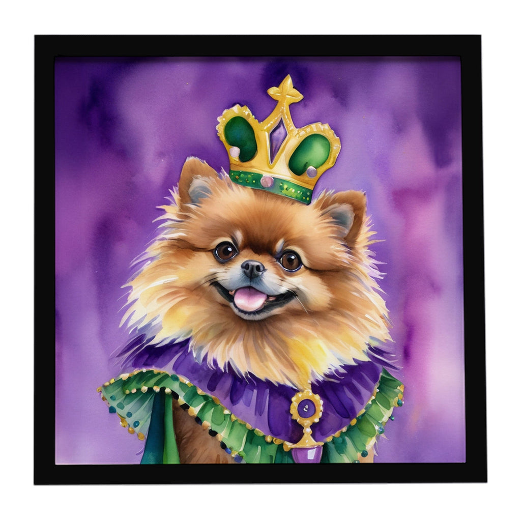 Pomeranian King of Mardi Gras Framed Metal Print Bathroom, Kitchen, Office, Home Decor Wall Art Ready to Hang, Square, 8X8