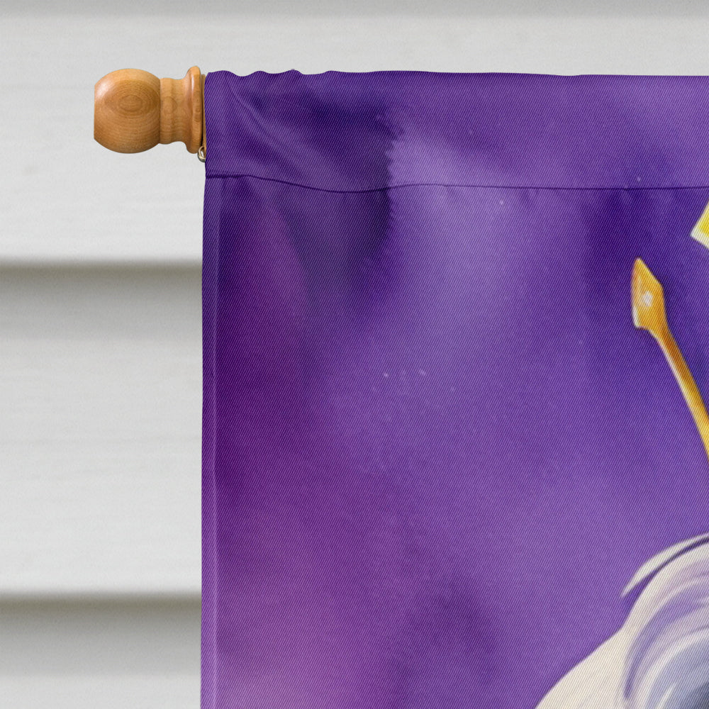 Tibetan Terrier King of Mardi Gras House Flag 28x40 Porch Sleeve Pole Decorative Outside Yard Banner Artwork Wall Hanging, Polyester
