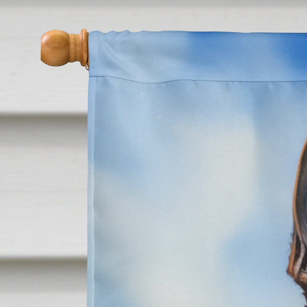 Belgian Malinois Easter Egg Hunt House Flag 28x40 Porch Sleeve Pole Decorative Outside Yard Banner Artwork Wall Hanging, Polyester