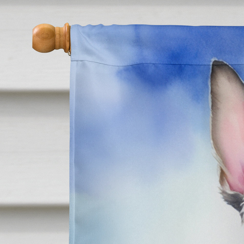 Schnauzer Easter Egg Hunt House Flag 28x40 Porch Sleeve Pole Decorative Outside Yard Banner Artwork Wall Hanging, Polyester